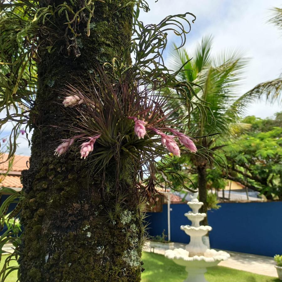 Linda Casa com Jardim, muito próxima da Praia!!! Ubatuba Exterior foto